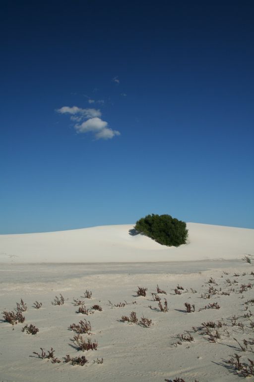 Single cloud on an otherwise deep blue sky in Beekeepers nature reserve, Western Australia